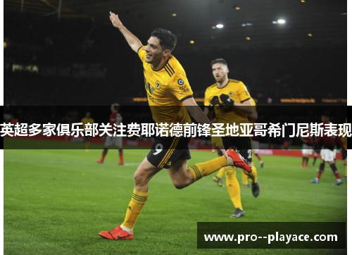 英超多家俱乐部关注费耶诺德前锋圣地亚哥希门尼斯表现